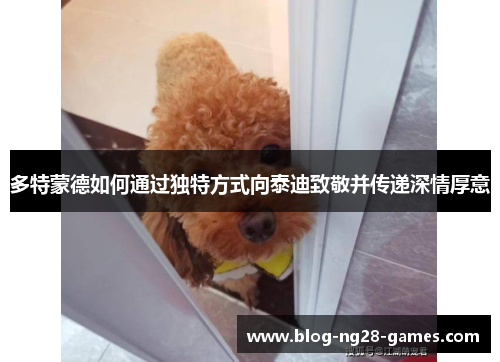 多特蒙德如何通过独特方式向泰迪致敬并传递深情厚意